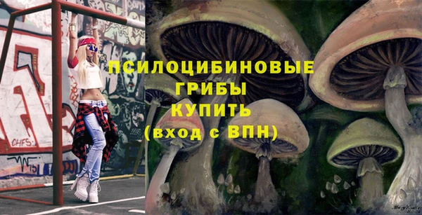 синтетический гашиш Балахна