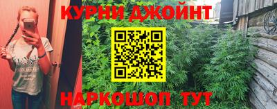 гидра Балашиха