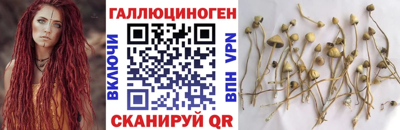 Галлюциногенные грибы MAGIC MUSHROOMS  Бугульма 