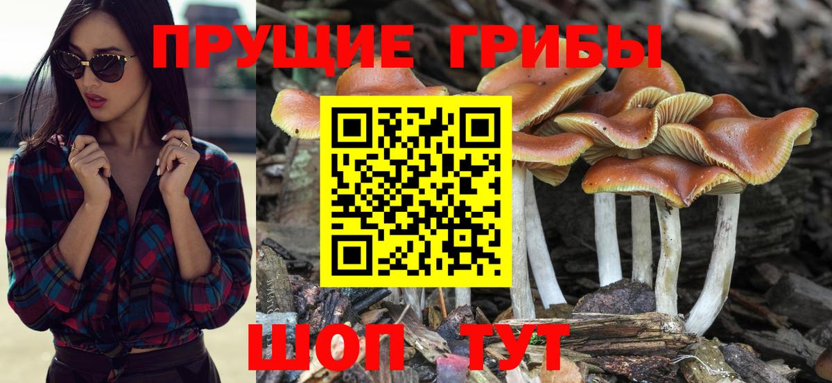 Галлюциногенные грибы GOLDEN TEACHER Бугульма